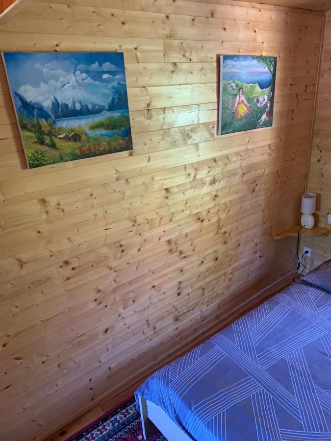 Chalet Rustique, 3Pieces, Jusqu'A 6 Personnes Urbès Екстериор снимка