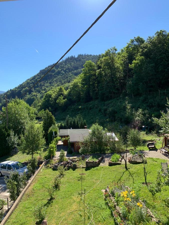 Chalet Rustique, 3Pieces, Jusqu'A 6 Personnes Urbès Екстериор снимка