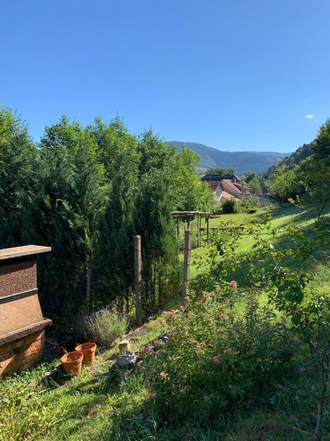 Chalet Rustique, 3Pieces, Jusqu'A 6 Personnes Urbès Екстериор снимка