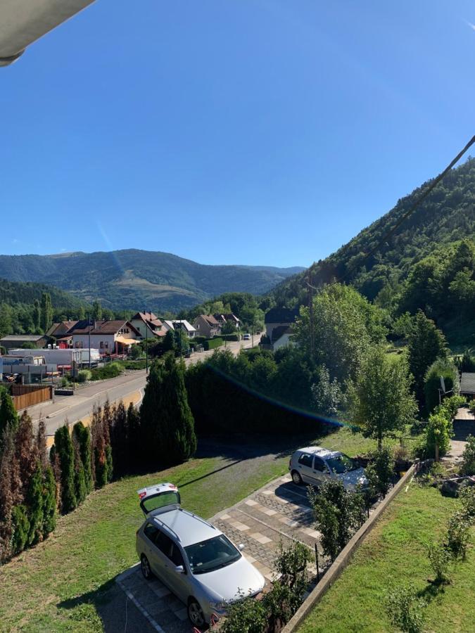 Chalet Rustique, 3Pieces, Jusqu'A 6 Personnes Urbès Екстериор снимка