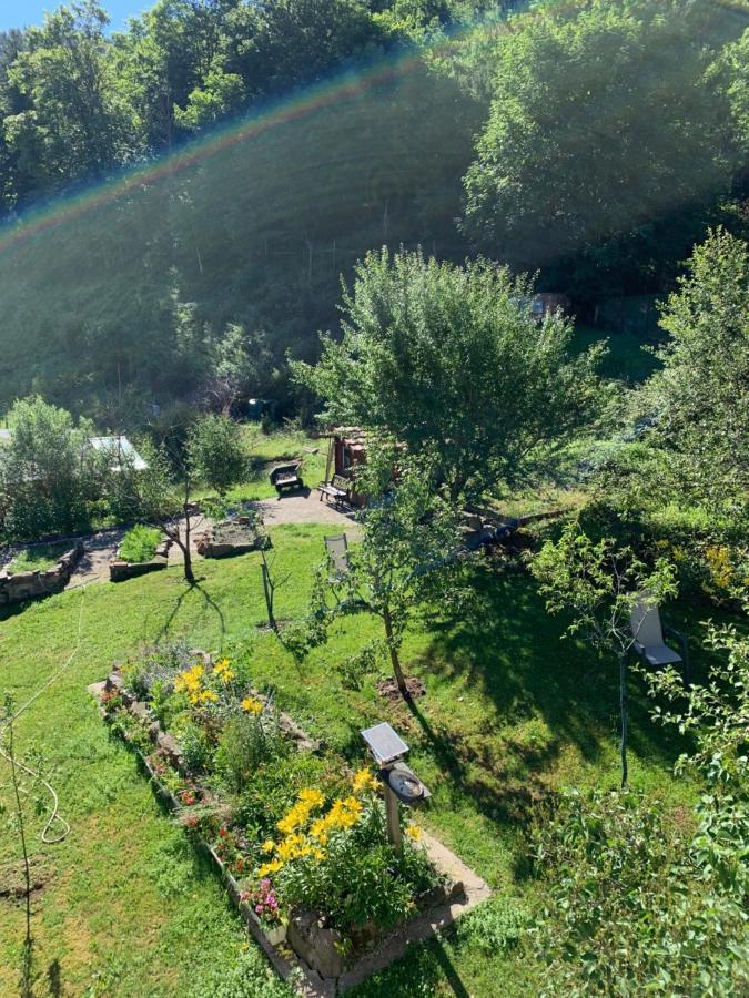 Chalet Rustique, 3Pieces, Jusqu'A 6 Personnes Urbès Екстериор снимка