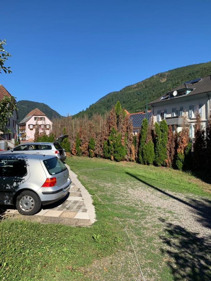 Chalet Rustique, 3Pieces, Jusqu'A 6 Personnes Urbès Екстериор снимка