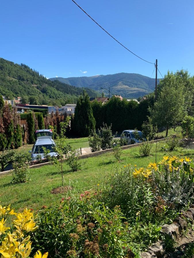 Chalet Rustique, 3Pieces, Jusqu'A 6 Personnes Urbès Екстериор снимка